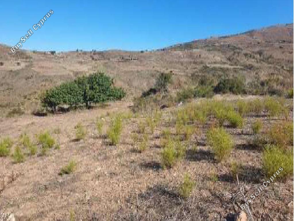 land for sale ineia paphos 1721382 image 16009503