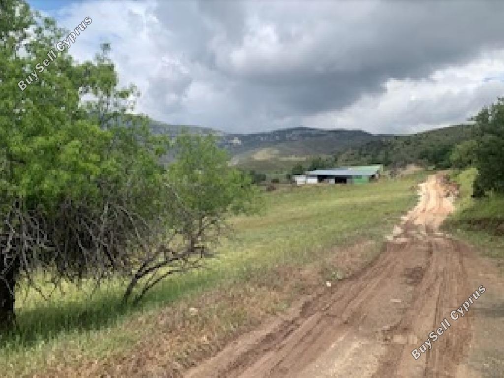 land for sale kelokedara paphos 1530382 image 15598032