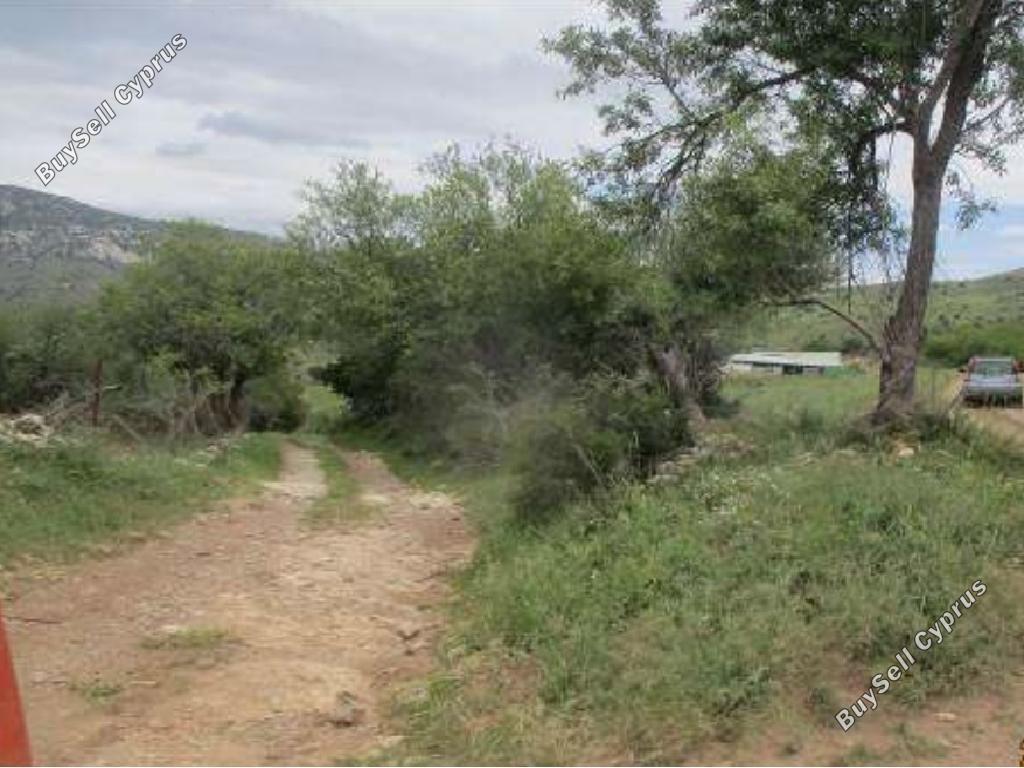 land for sale kelokedara paphos 1530382 image 15598033