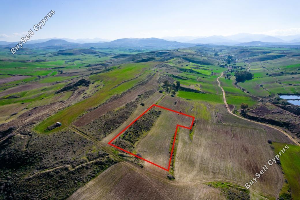 land for sale orounta nicosia 984382 image 5480252