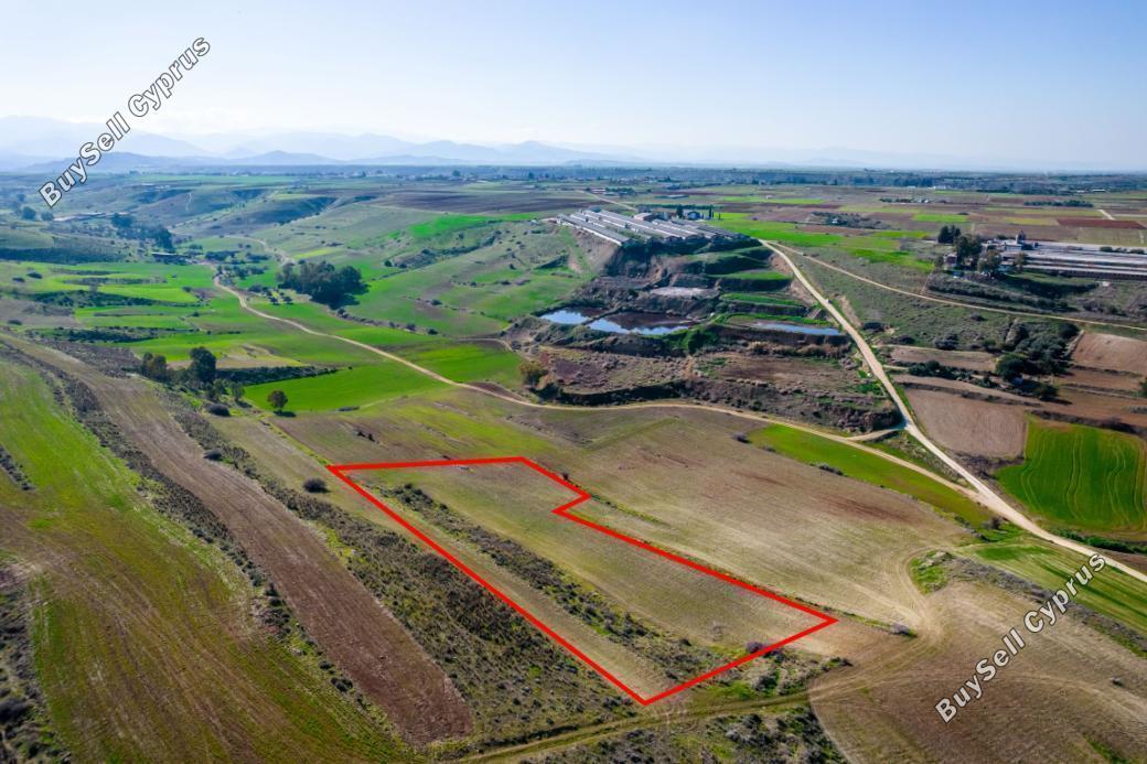 land for sale orounta nicosia 984382 image 5480256