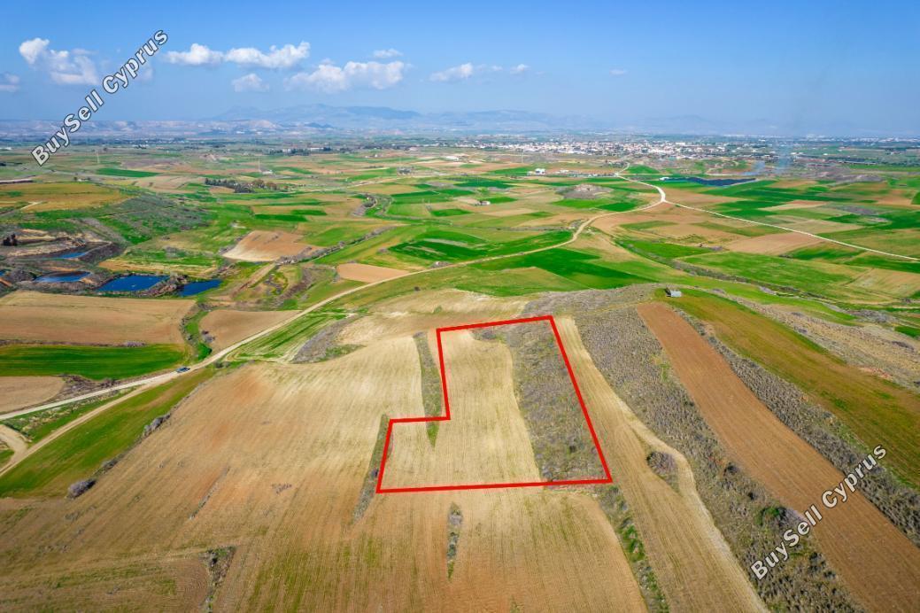 land for sale orounta nicosia 984382 image 5480265