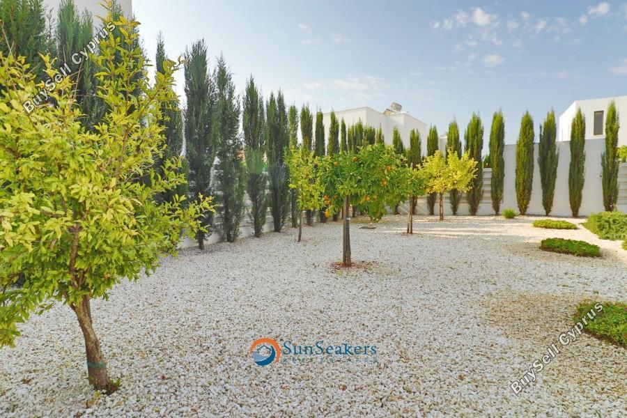 3 bedroom detached house for sale saint george peyia paphos 8529482 image 15455159