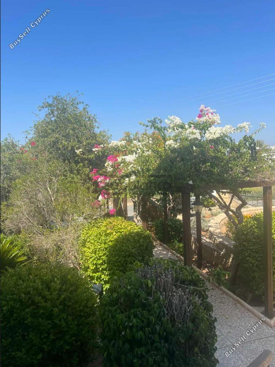 4 bedroom detached house for sale tala paphos 8753482 image 16511190