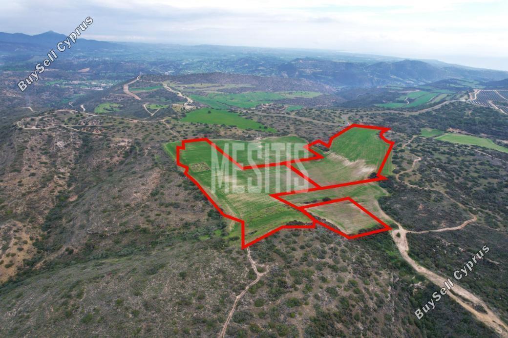 land for sale choirokoitia larnaca 8056482 image 12964323