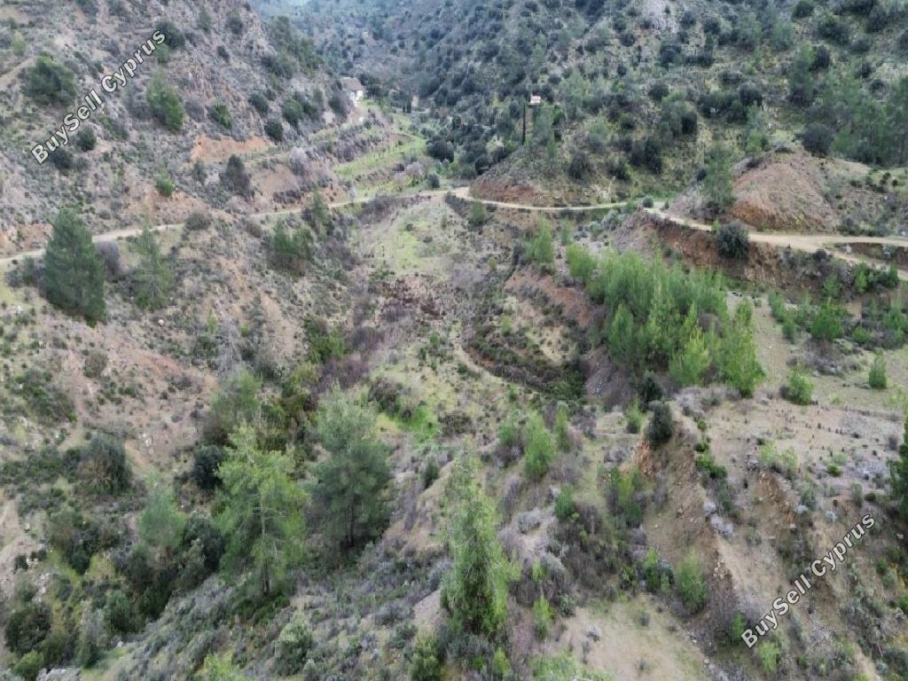 land for sale kalo chorio lemesou limassol 1689482 image 16700724