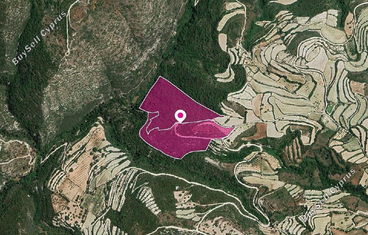 land for sale koili paphos 1897482 image 14205862