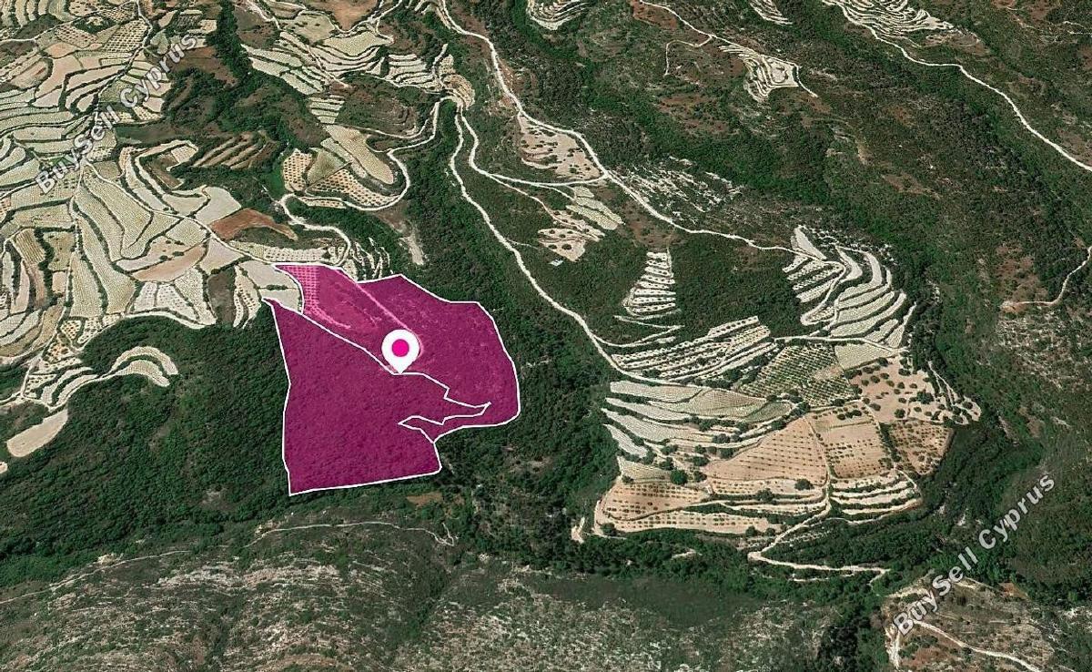 land for sale koili paphos 1897482 image 14205863
