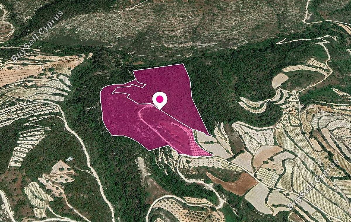 land for sale koili paphos 1897482 image 14205865