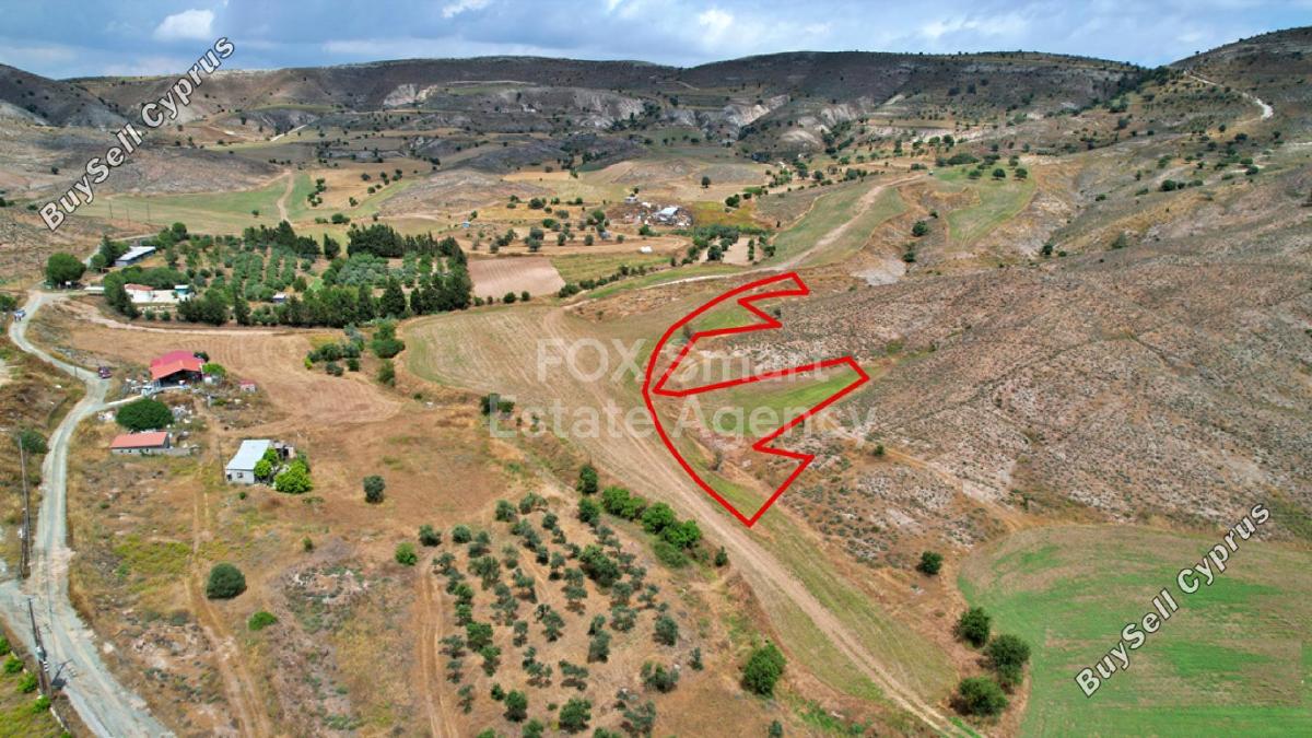 land for sale psevdas larnaca 1150482 image 5750472