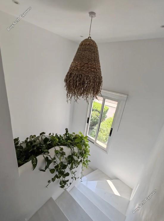 4 bedroom detached house for rent peyia paphos 8434582 image 15014425