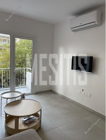 1 bedroom apartment for rent acropolis nicosia 1905782 image 17335545