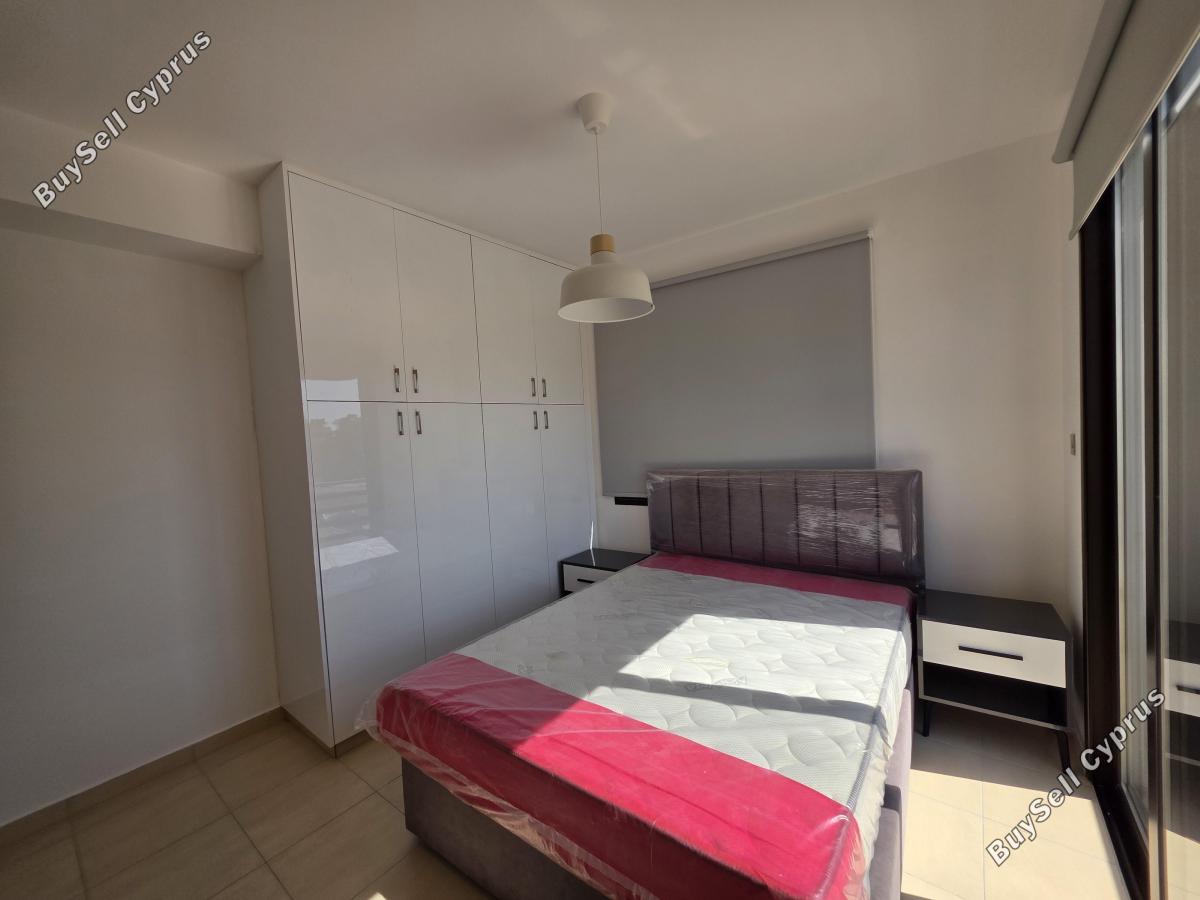 2 bedroom apartment for rent kiti larnaca 8705782 image 16263332
