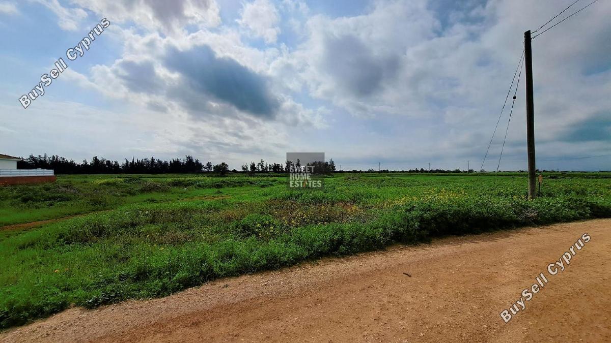land for sale frenaros famagusta 1292782 image 9268414