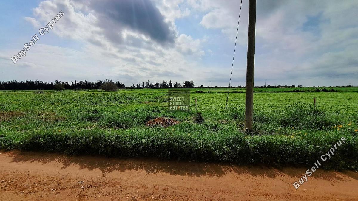 land for sale frenaros famagusta 1292782 image 9268419
