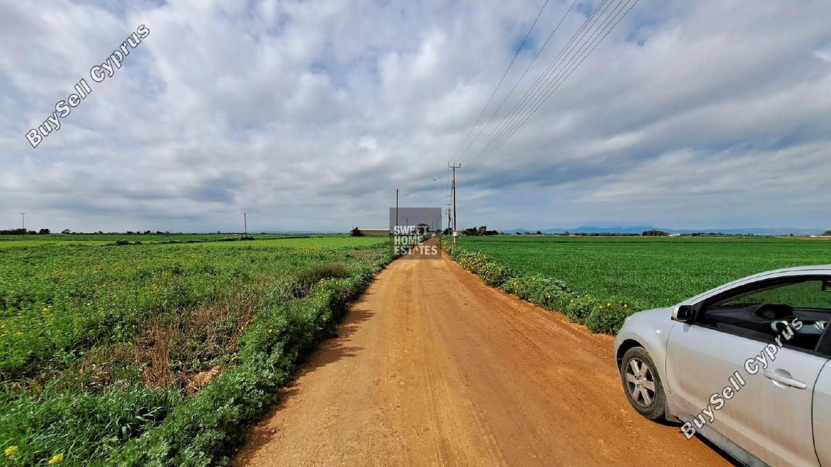 land for sale frenaros famagusta 1292782 image 9268422
