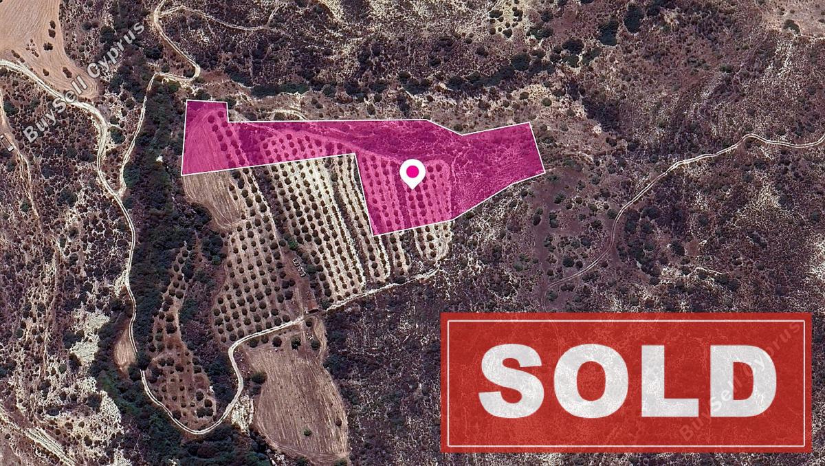land sold skarinou larnaca 1171782 image 2608515