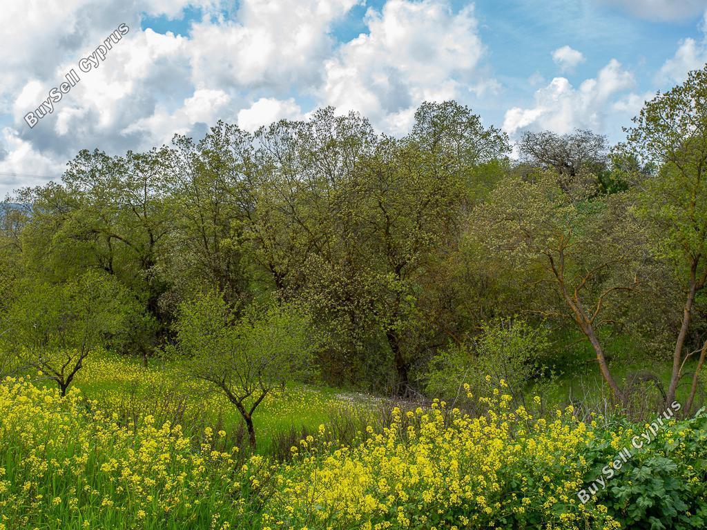 4683 SQM Land for sale in Drimou, Paphos 15594763