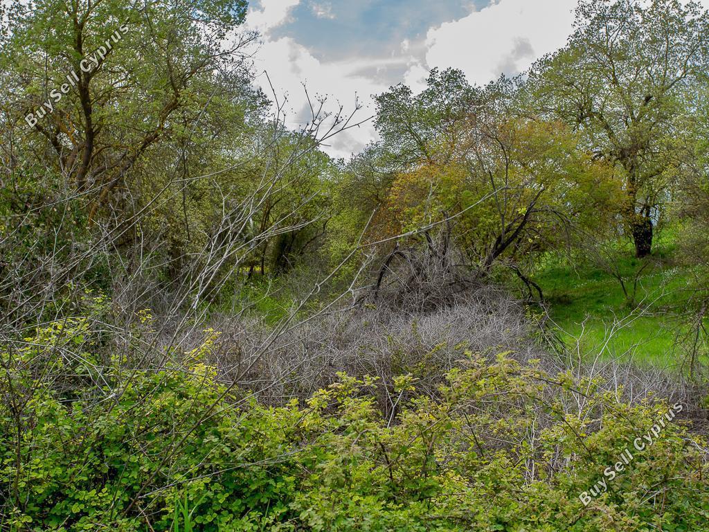 land for sale drimou paphos 8433882 image 15594758