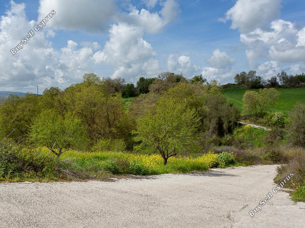 land for sale drimou paphos 8433882 image 15594762