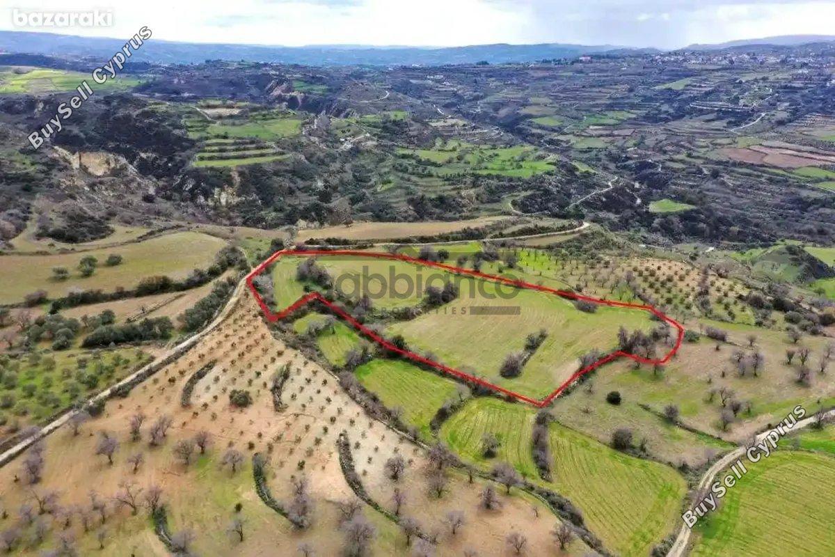 land for sale drimou paphos 8748882 image 16469472