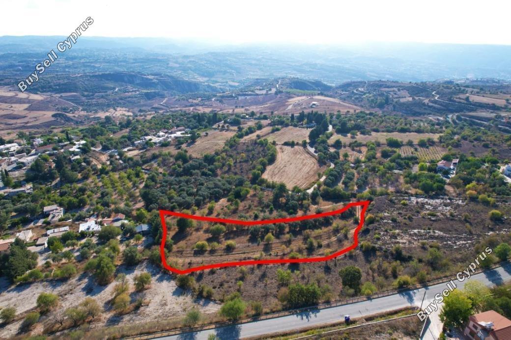 land for sale drynia paphos 1897982 image 14210224