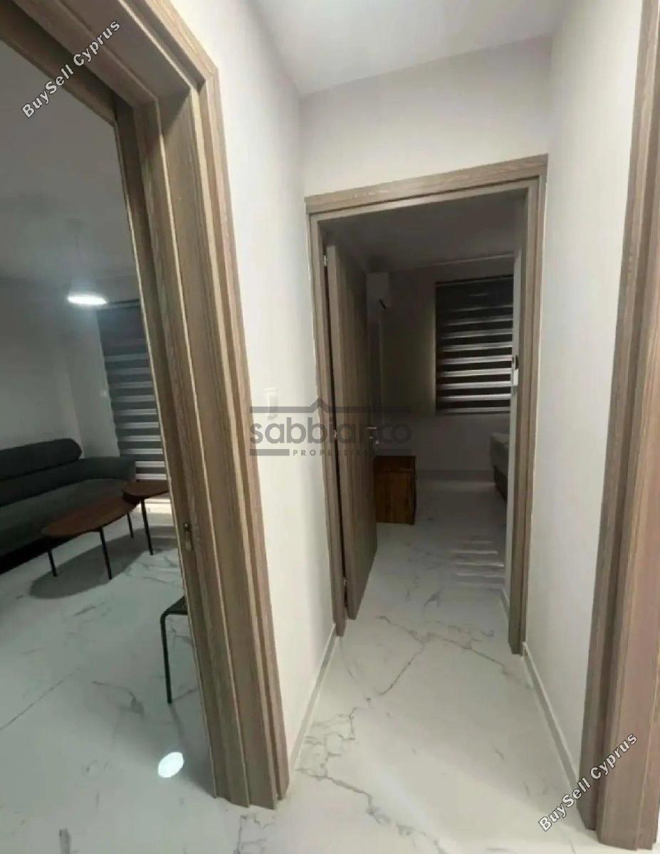 2 bedroom apartment for rent limassol municipality limassol 8880092 image 17262789