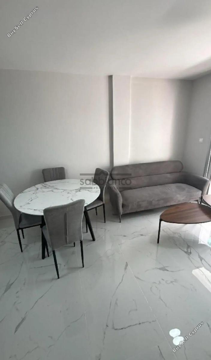 2 bedroom apartment for rent limassol municipality limassol 8880092 image 17262797