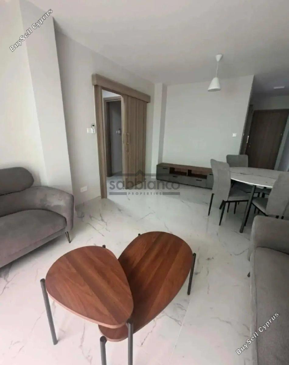 2 bedroom apartment for rent limassol municipality limassol 8880092 image 17262810