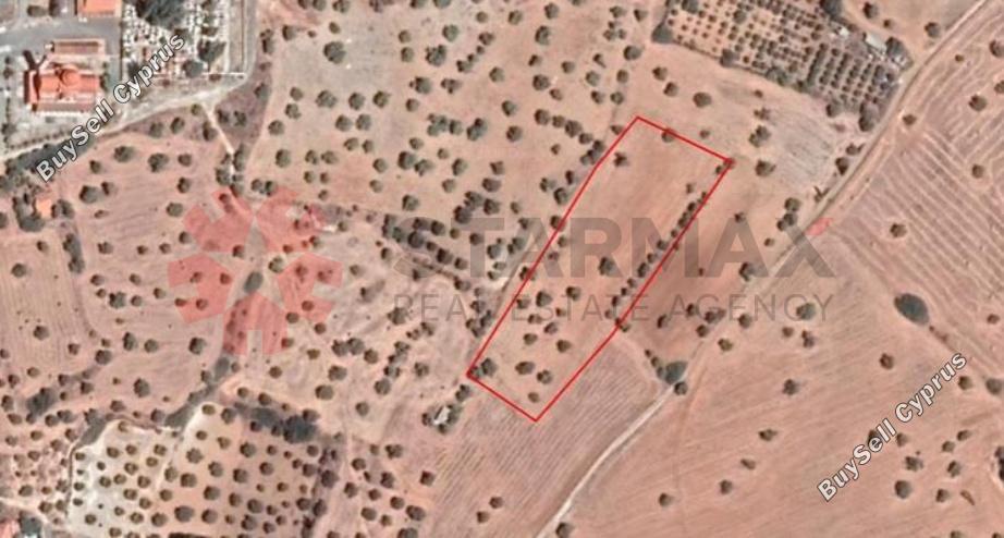 land for sale mazotos larnaca 1842092 image 6591486