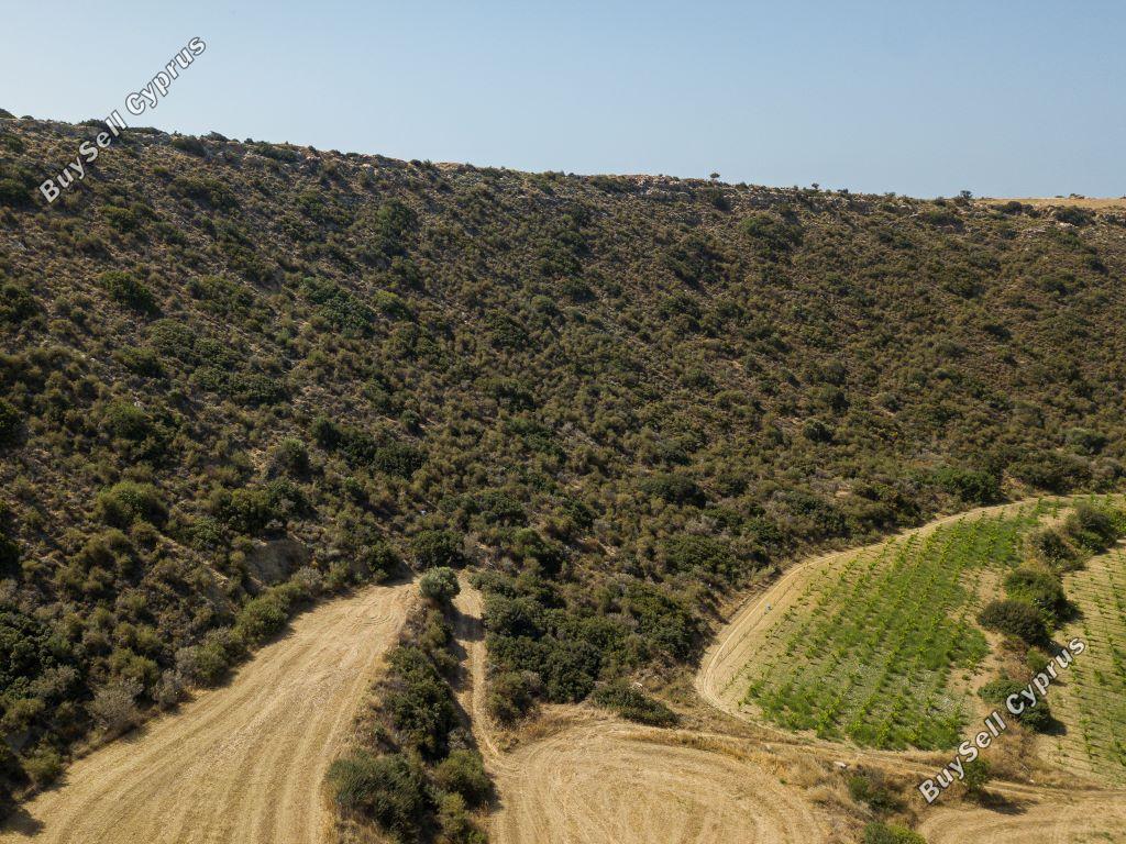 land for sale pissouri limassol 946092 image 15602966
