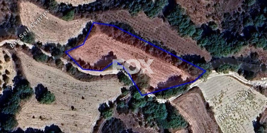 land for sale polemi paphos 1597092 image 5647457