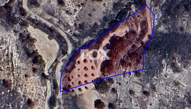land for sale polemi paphos 1597092 image 5647462