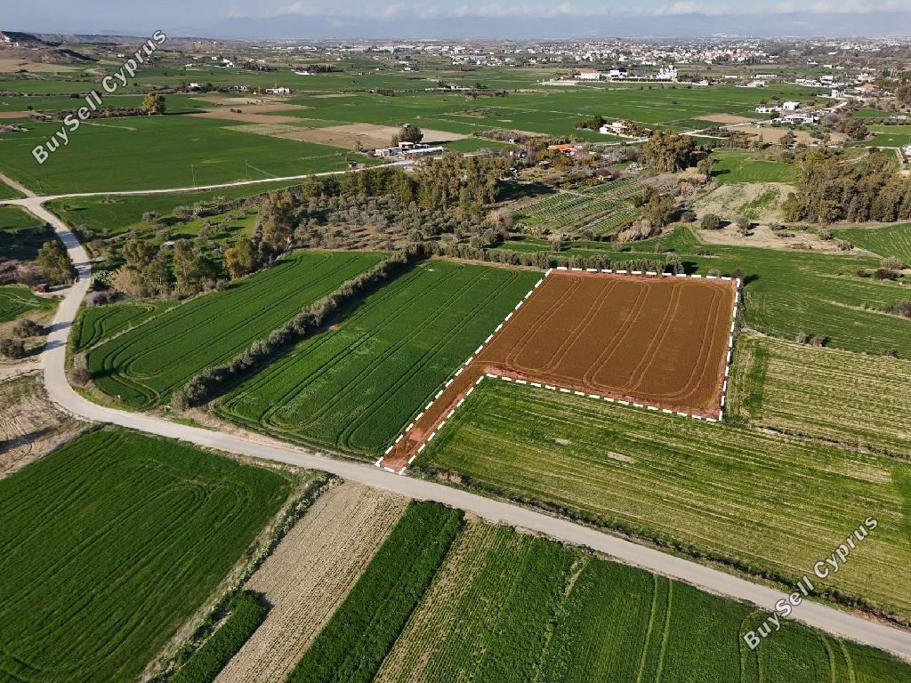 land for sale politiko nicosia 8175092 image 13555382
