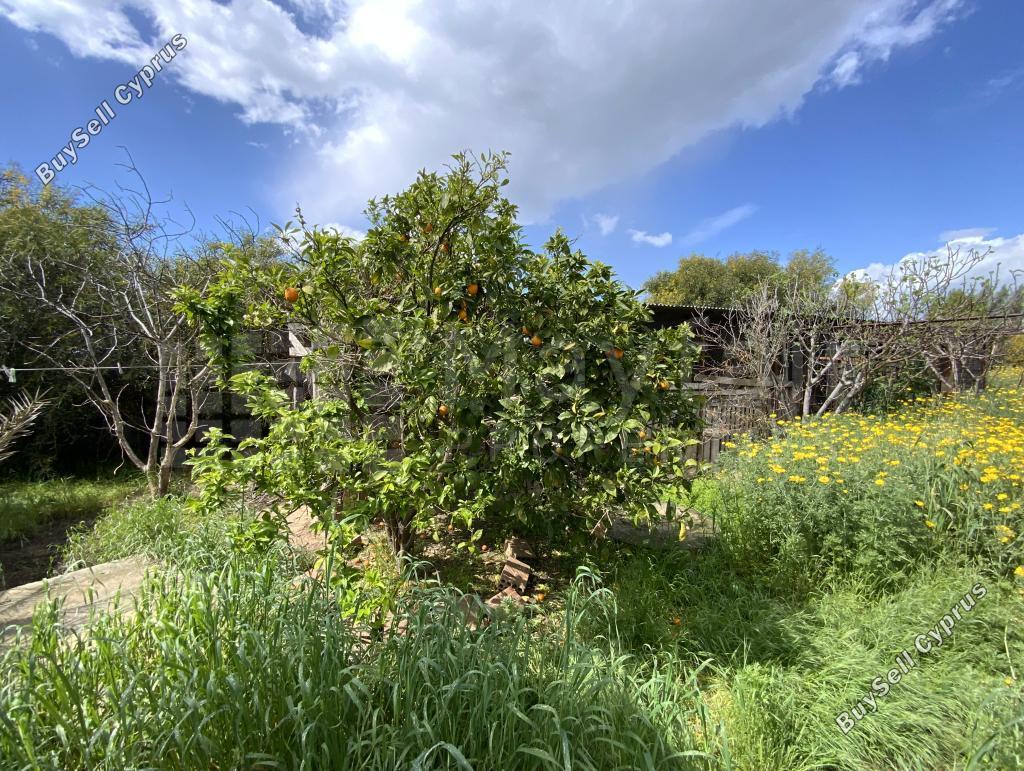 land for sale tersefanou larnaca 7872092 image 11384095