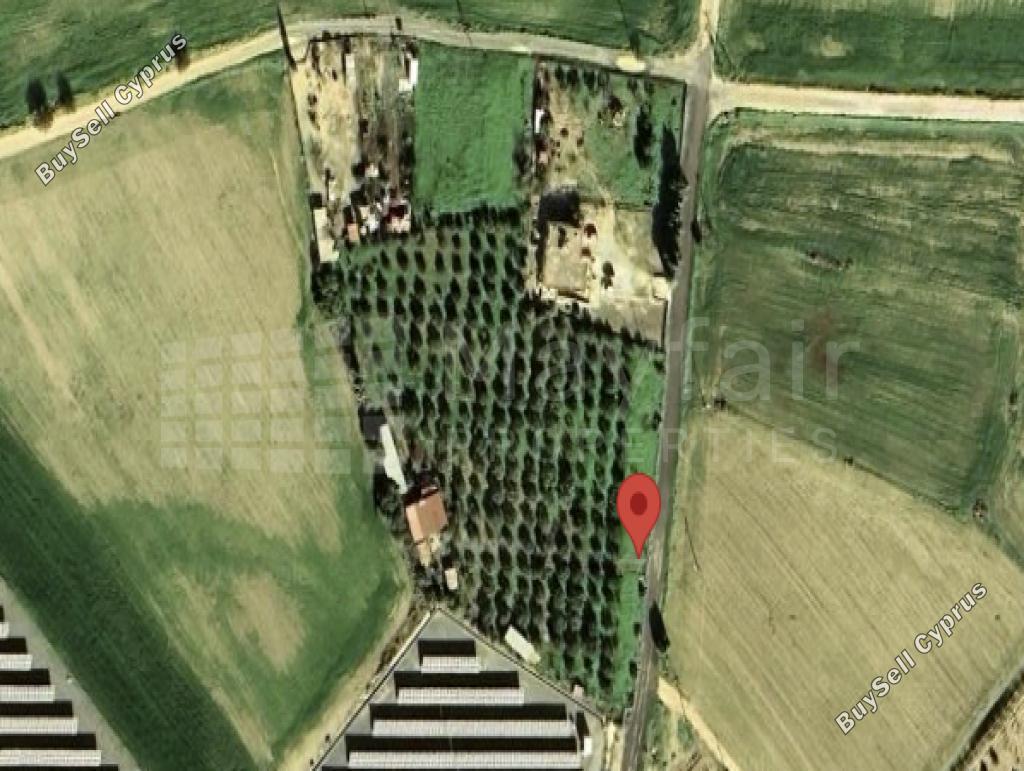 land for sale tersefanou larnaca 7872092 image 11384103