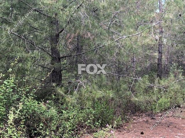 land for sale moniatis limassol 1185192 image 5567064