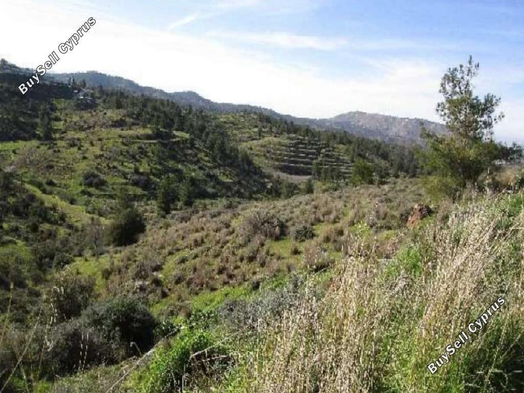 land for sale mitsero nicosia 1336292 image 4845363