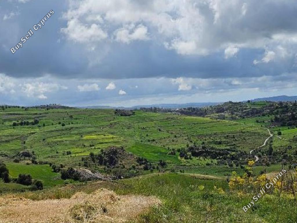 14911 SQM Land for sale in Drynia, Paphos 15596757