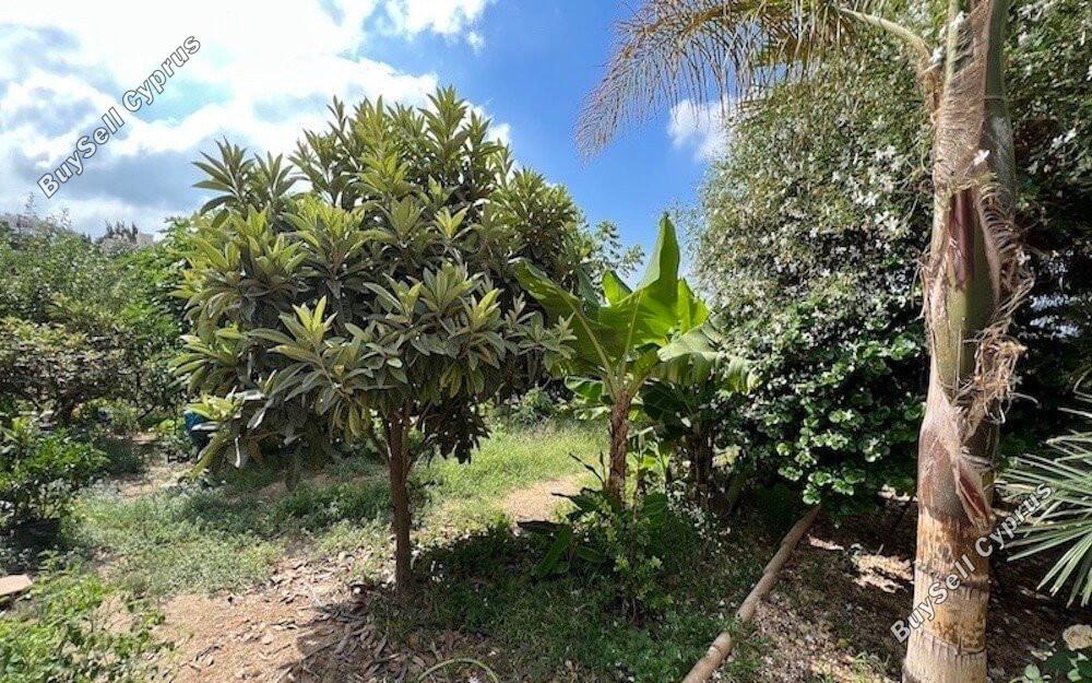 3 bedroom detached house for sale tala paphos 1898392 image 14215620