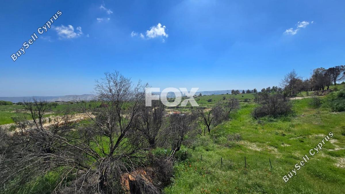 4 bedroom detached house for rent lofou limassol 8587392 image 15684588