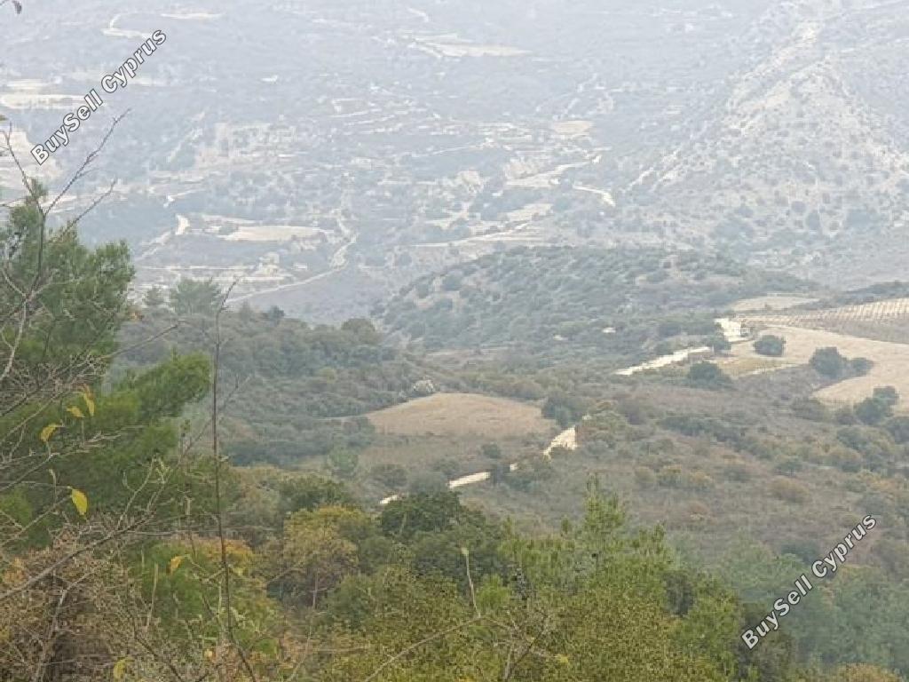 land for sale dora limassol 1614392 image 15598506