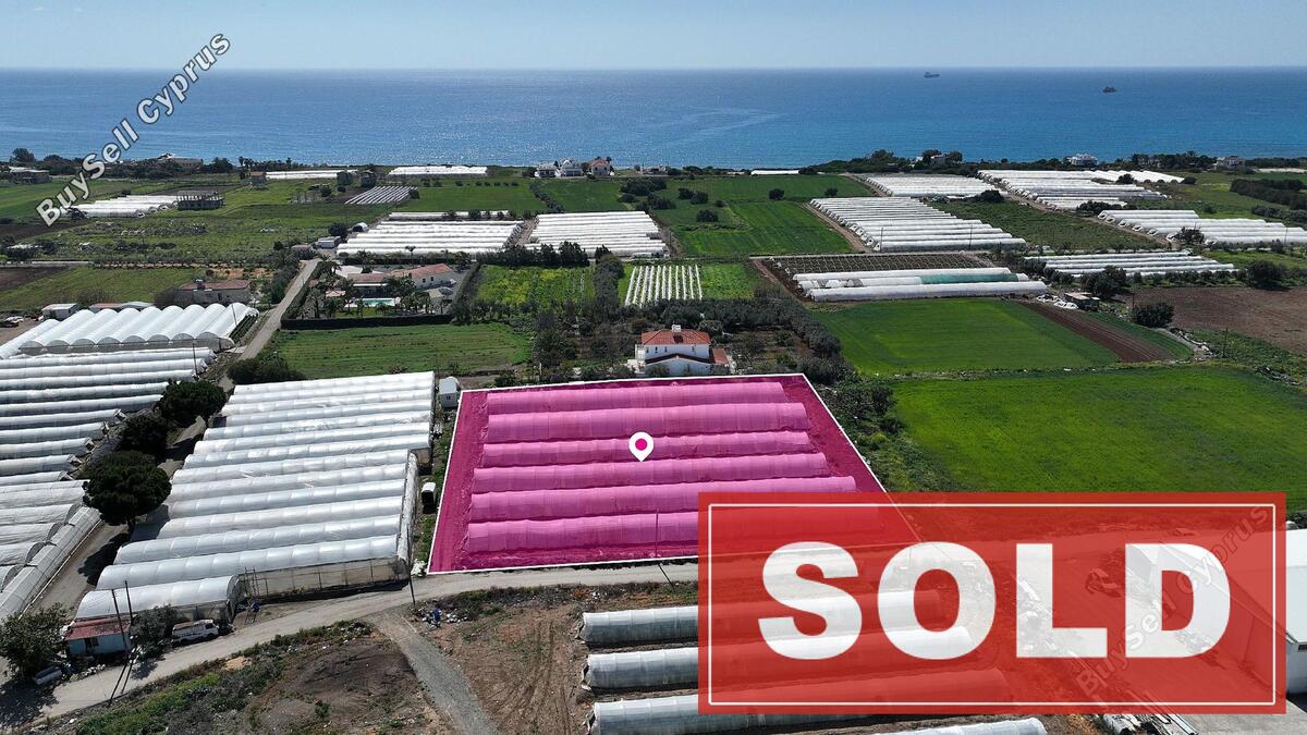 land sold maroni larnaca 1520392 image 3742628