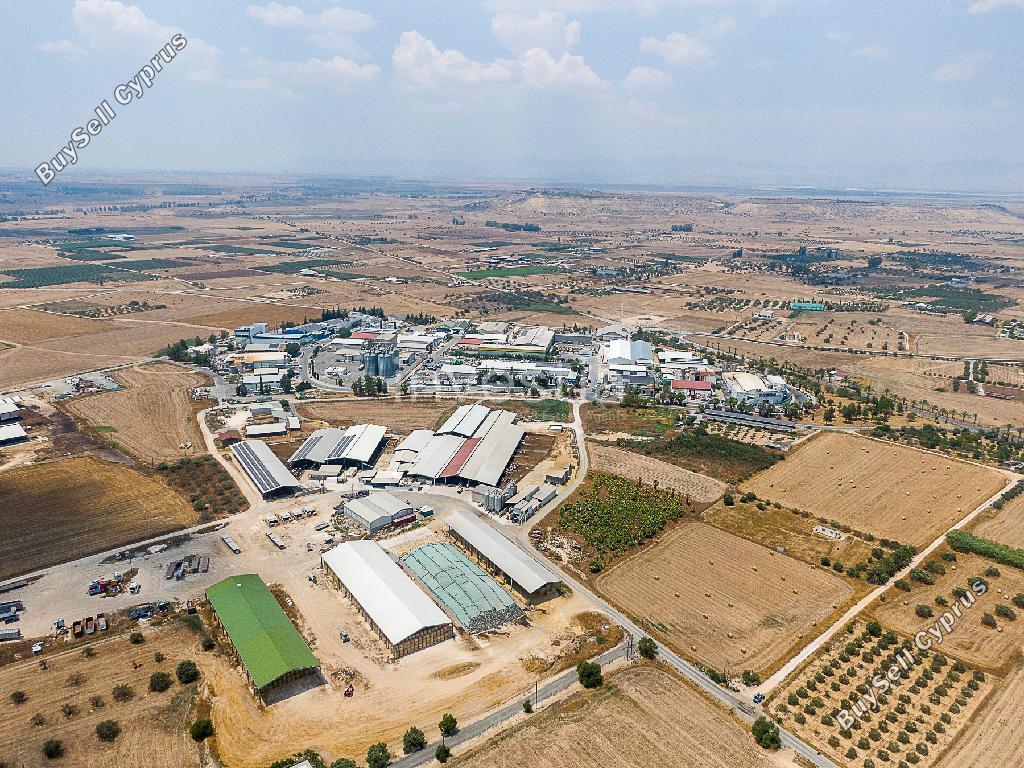 studio warehouse for sale athienou larnaca 8857392 image 17143151