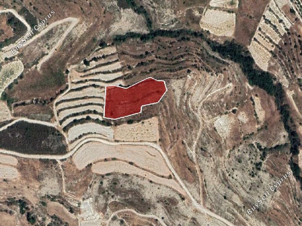 land for sale pachna limassol 944592 image 15600570