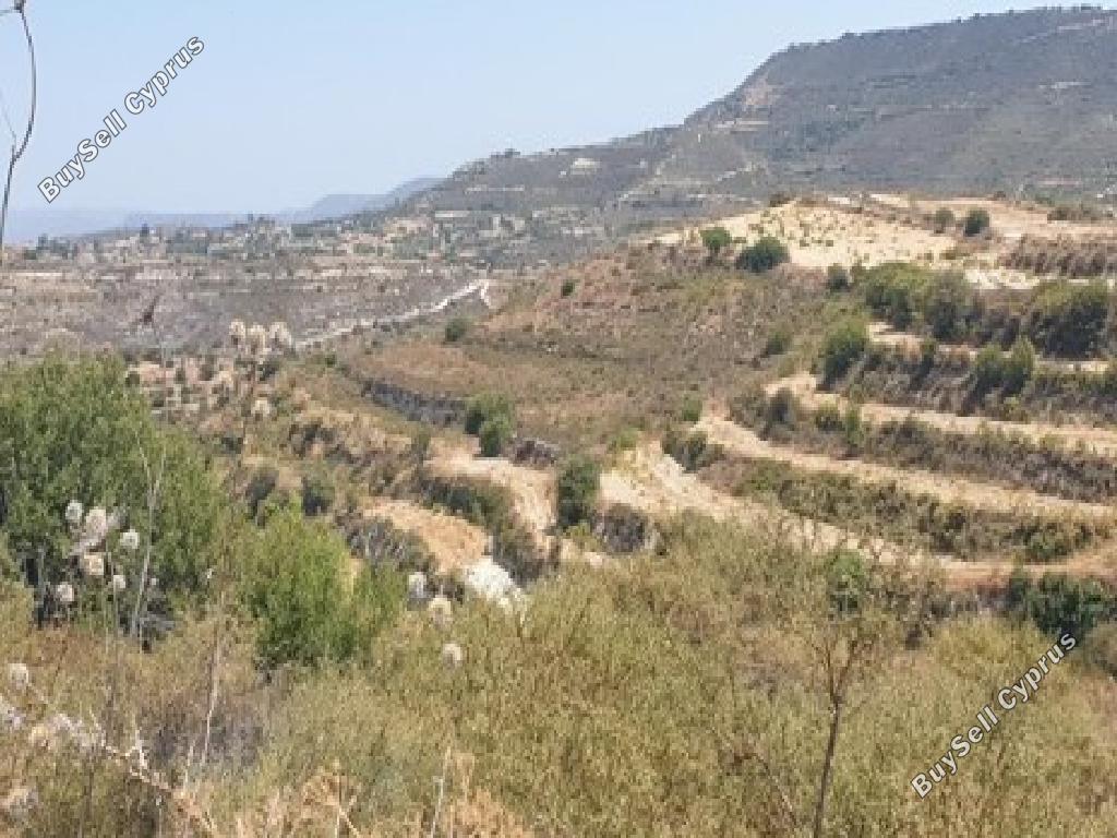 land for sale pachna limassol 944592 image 17187222