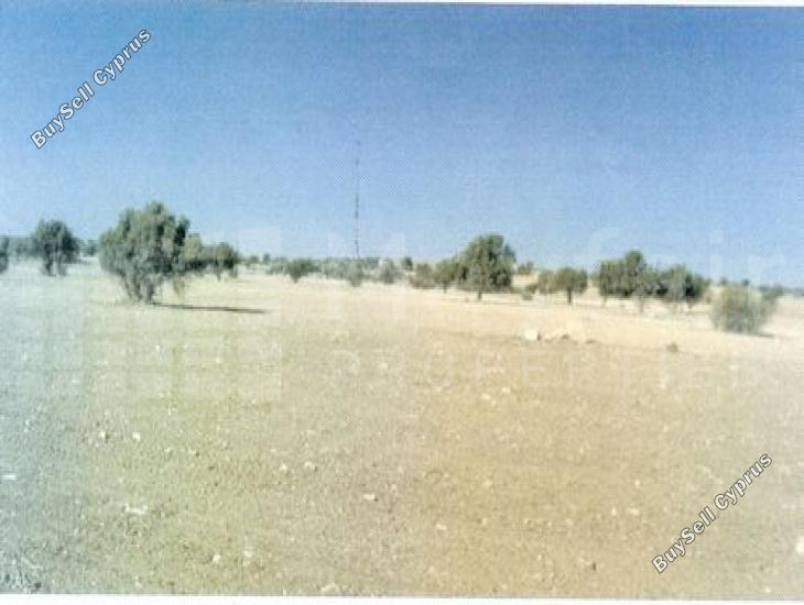 land for sale agios theodoros larnacas larnaca 7870692 image 11378958