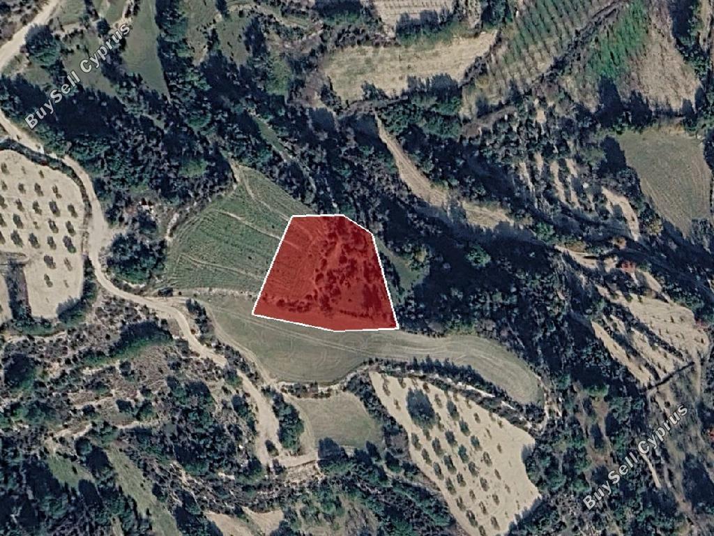 land for sale letymvou paphos 9001692 image 18265741