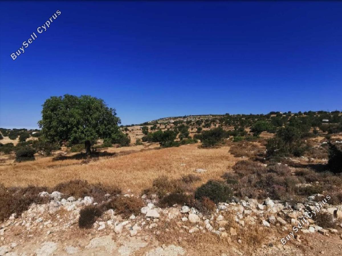 land for sale pachna limassol 8726692 image 16333368