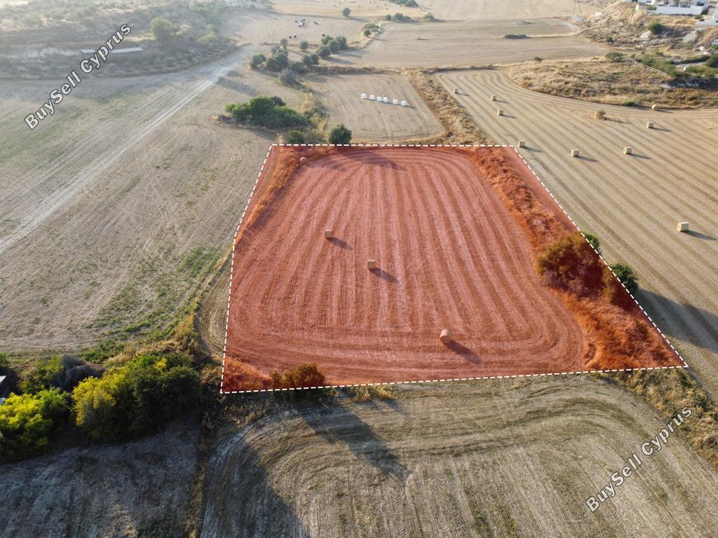 land for sale tersefanou larnaca 7847692 image 13133993